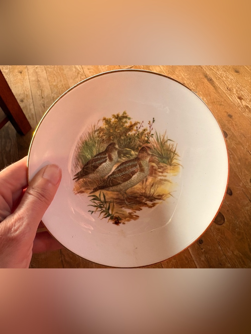 Decorative Vintage Bird Motif Plate with Gold Rim